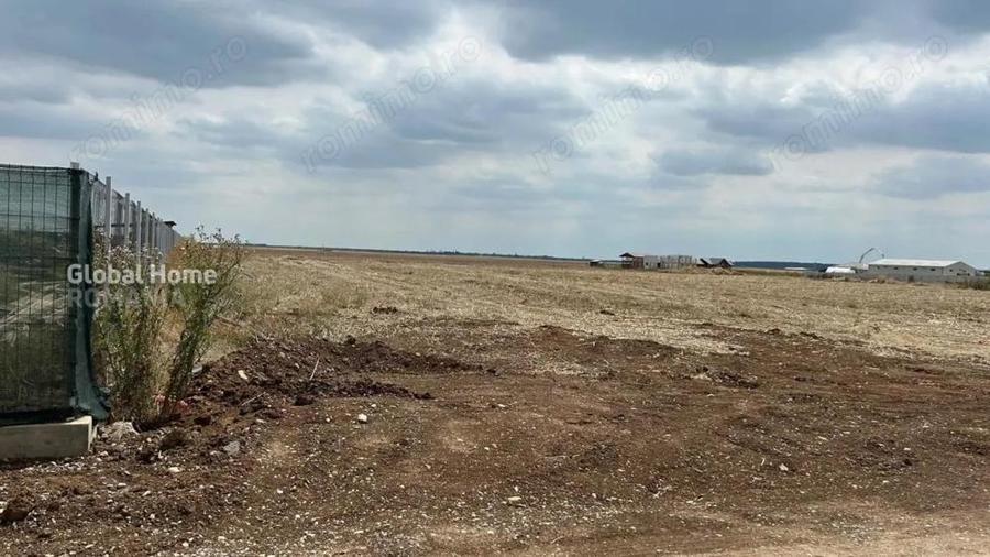 Teren 2500 MP | Balotesti | Intravilan | Integral sau parcelat in 5 loturi | - 3