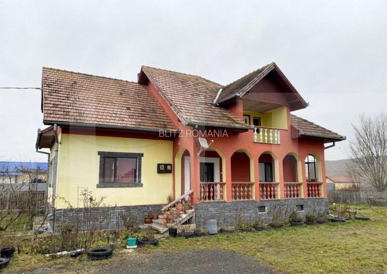 Proprietate speciala in Apahida, casa 206 mp utili, 3000 mp, Proprietate speciala in Apahida, casa 206 mp utili, 3000 mp,