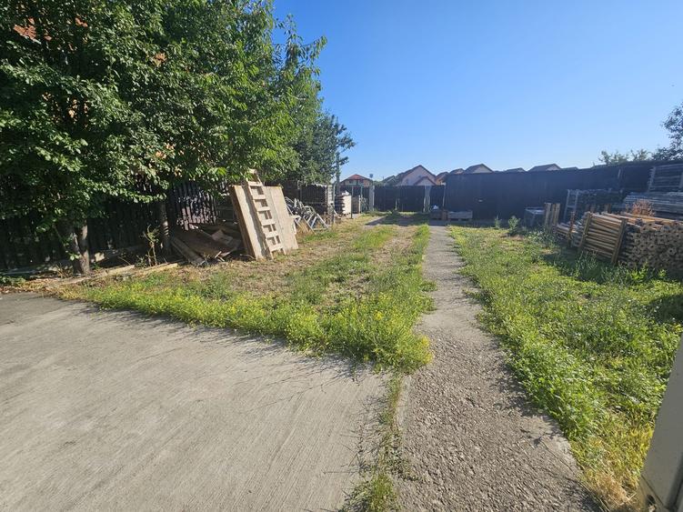 Proprietate speciala Dumbravita - casa individuala !! - 24