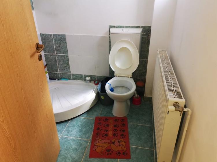 Casa P+M, Trivale - Cornu Vanatorului, teren 250 mp - 6