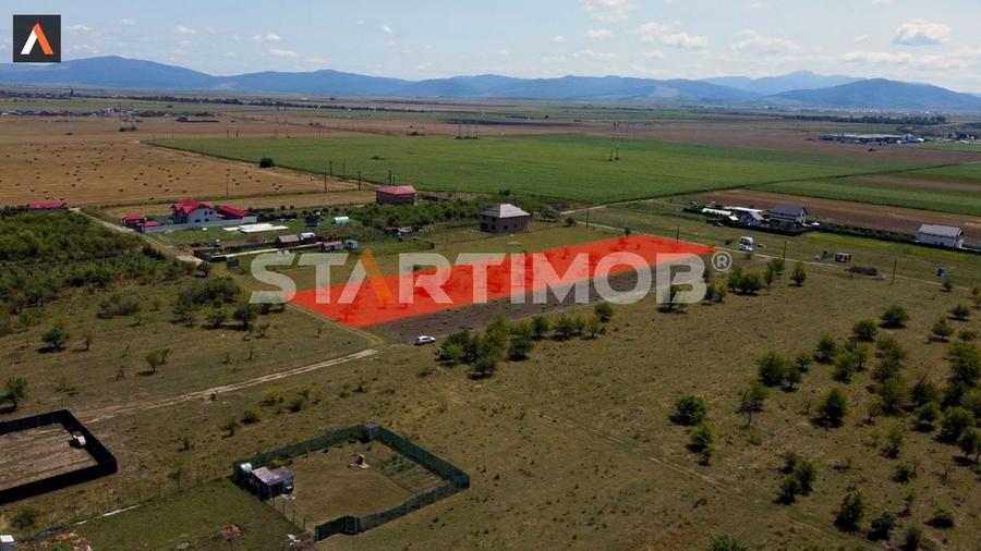 Teren intravilan Livada Sanpetru - 3