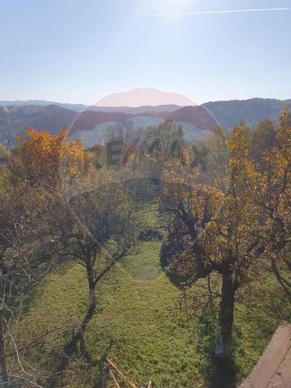 Teren 4,972mp Bertea / Strada Matraguni - 7