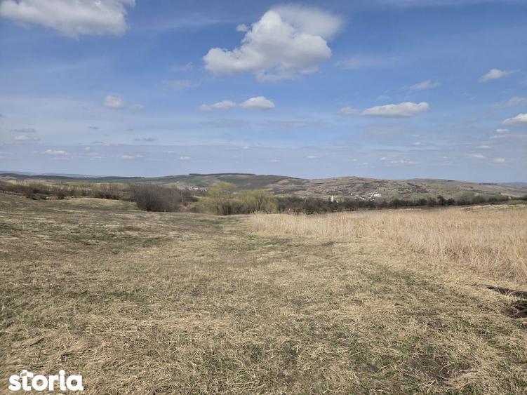 Teren de vanzare Pata Cluj - 5