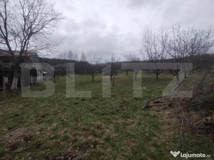 Teren intravilan, 1700 mp, utilitati, zona Dealu Jelnei - 3