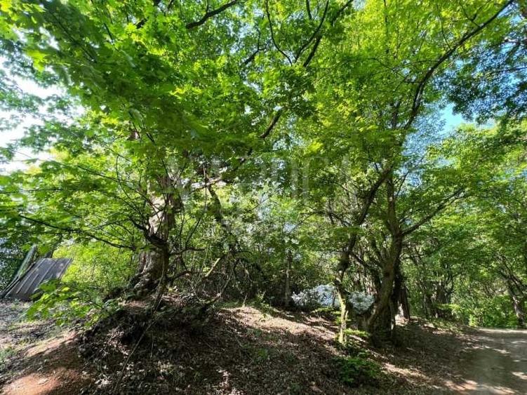 Teren intravilan pentru constructii de vanzare in Grigorescu, Cluj Napoca - 9