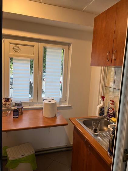 Vanzare apartament 3 cam la parter cu balcon stradal zona Parc Sebastian sect 5 - 3