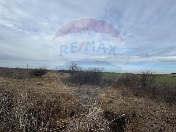 Teren intravilan 13800 mp - Centura de Nord Arad - 2