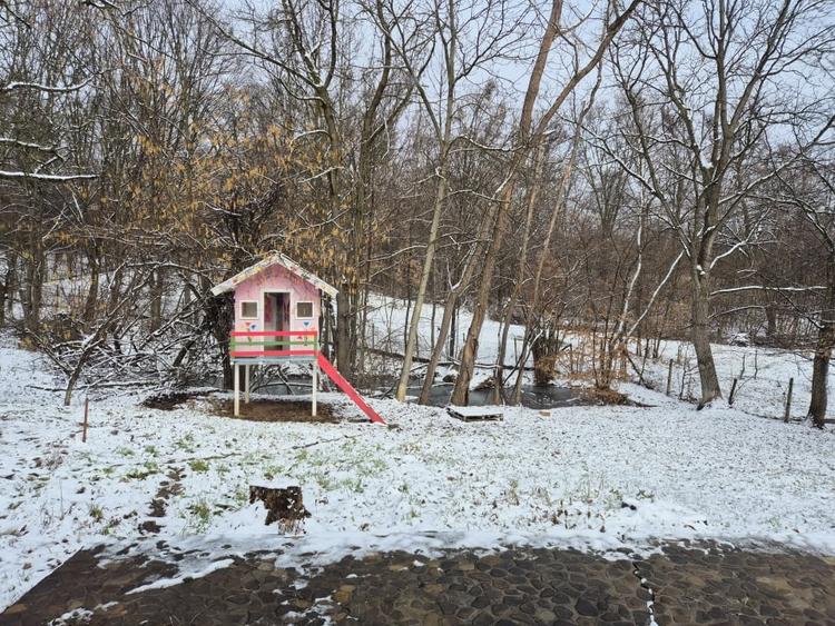 Moșia boierească din vârf de deal, Scorțeni - Prahova, comision 0% - 15