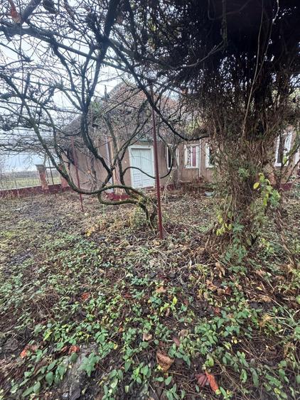 🏞️Casa langa Ineu, judetul Arad ! - 1