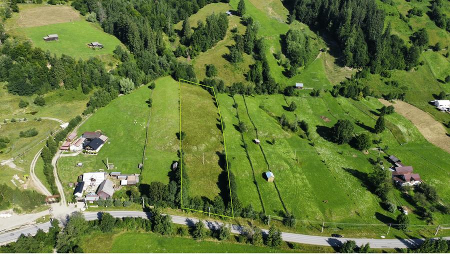 Teren intravilan 6527 mp Stulpicani - Bucovina - 1