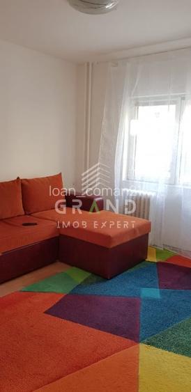 Apartament 1 camera de inchiriat - Manastur/Aleea Cioplea Apartament 1 camera de inchiriat - Manastur/Aleea Cioplea