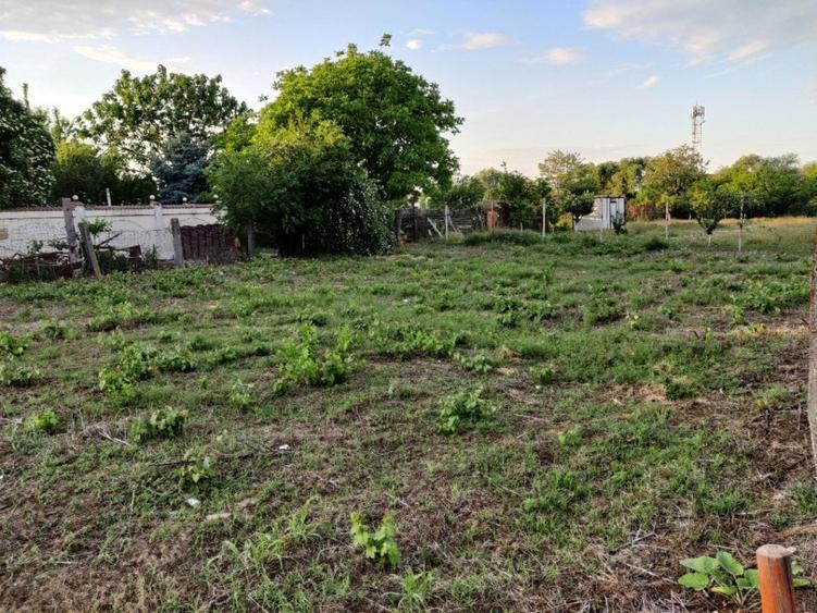 Teren Straulesti 500mp - 6