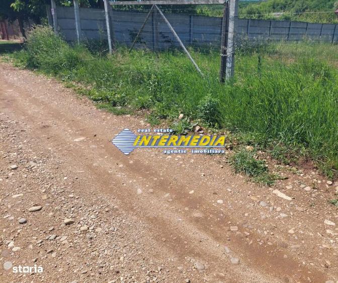 Teren intravilan 700 mp, Alba Micesti cu utilitati in fata - 3