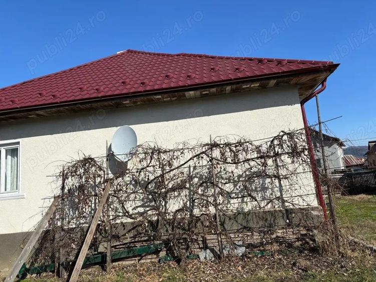 Casa in Leordina cu trei camere si 15ari de teren aproape de centru - 5