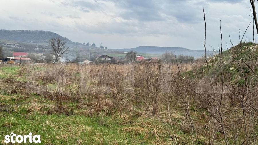 Teren Pentru Constructii 9292 mp- zona Cuzdrioara - 5
