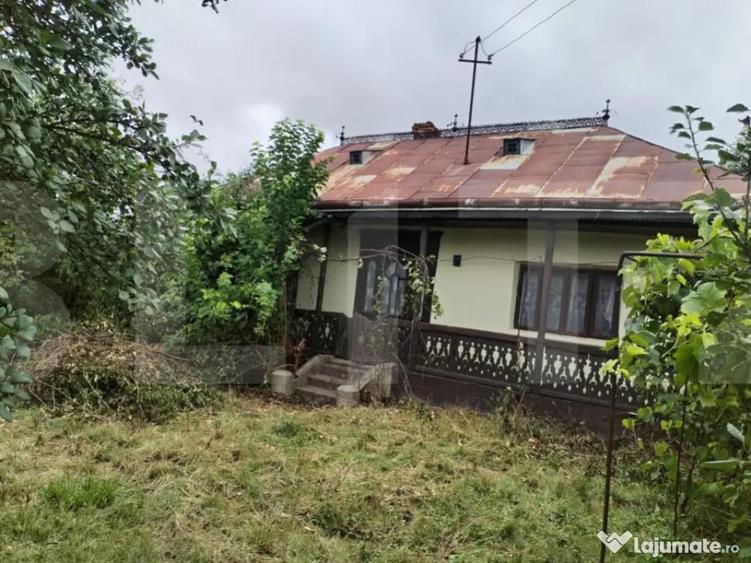 Casa batraneasca cu 2700mp teren intravilan - Broscauti - 3