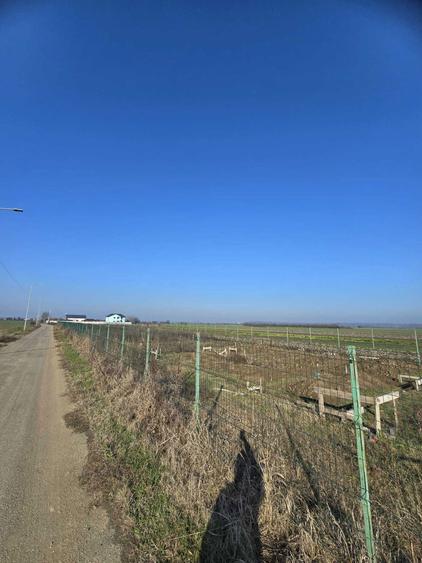 Terenuri de vanzare - Ilfov, Copaceni - 6