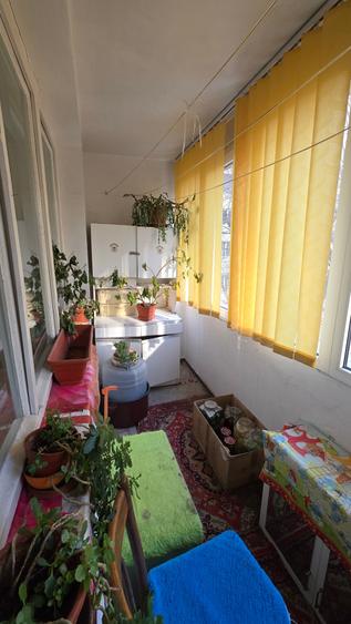 Colentina, Doamna Ghica vis-avis Complex  Rose Garden - 11