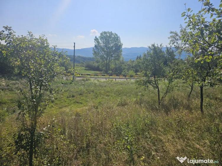 Loturi de vanzare! - 6