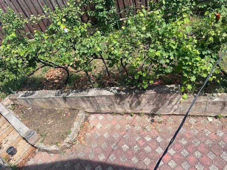 Casa Particulara Central Caramida P+M Garaj Beci Instalatie apa solara - 4