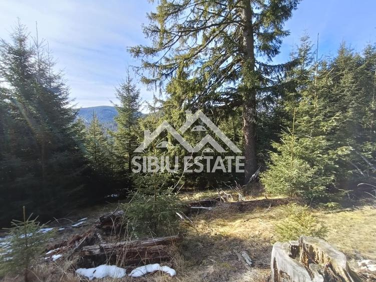 Teren de vânzare în zona montană a județului Alba - 5