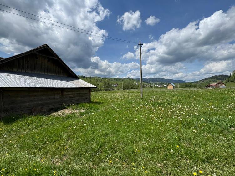 Vând proprietate 3,5 ha în Breaza de Sus, jud. Suceava, pe malul râului Moldova - 4