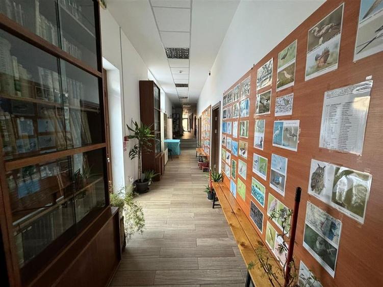 Cladire cu un aspect aparte de inchiriat in Centrul Focsaniului - 13