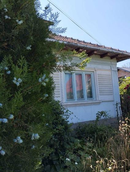 Casa batraneasca + teren de vanzare in Targu Ocna, strada Tisesti - 8