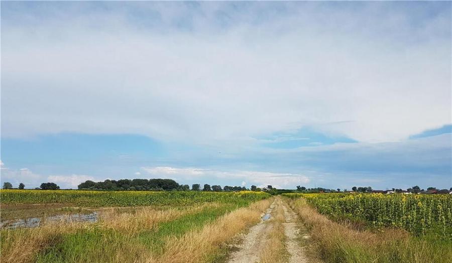 Teren intravilan Ciorogarla, 500 mp, deschidere 20 ml - 7