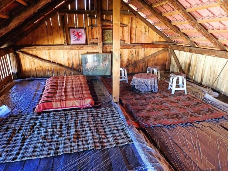 Vânzare casa la munte - zona turistica - Baia de Fier - 22