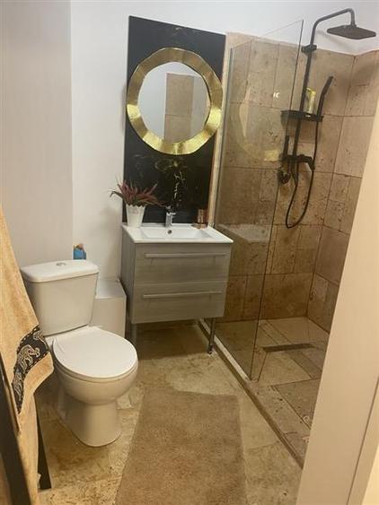 Studio spatios la etaj 1, in zona Astra, Brasov - 16