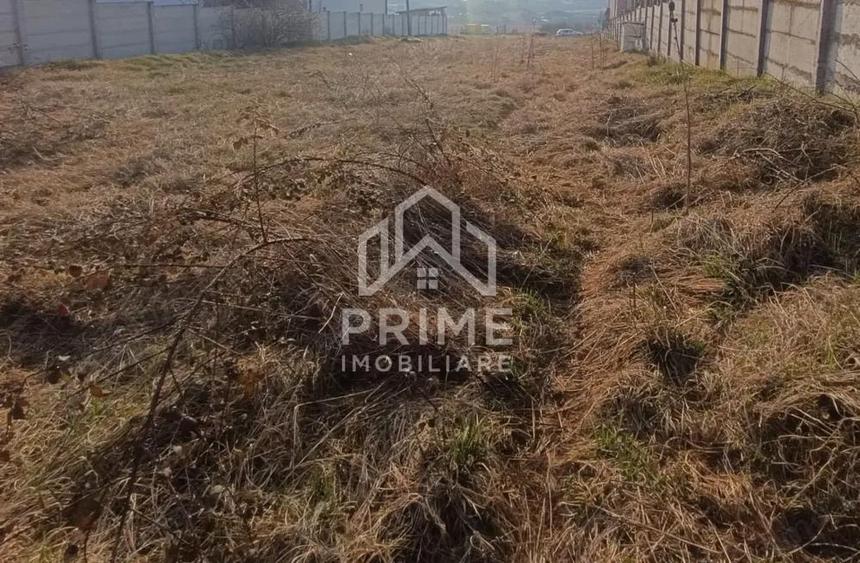 Teren intravilan 2600 mp | 2 deschideri | utilitati in zona | Mice?ti - 1