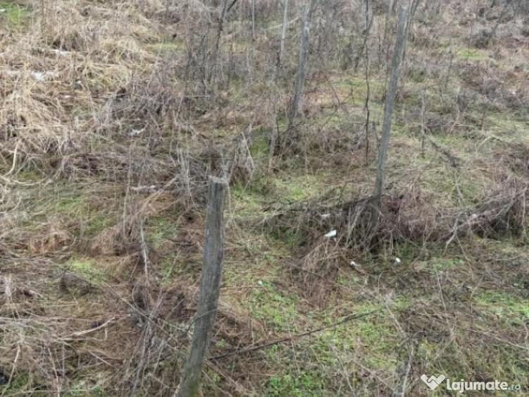 Terenarabil de 700mp la 10000 euro la 60 mp de str E70 Raco - 1