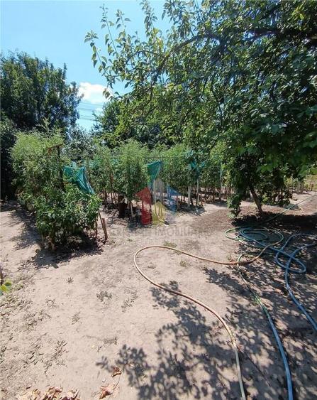 Casa de vacanta, Cazasu cu suprafata generoasa teren 824mp - 10