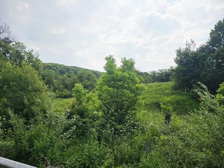 Teren intravilan lângă pădure – 1659 mp,  C.U. P+2E, Vărbilău - 3