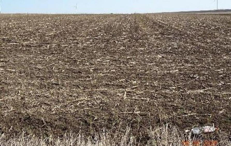 Teren extravilna Cota parte 1/16, CObadin, ID: R2782865 - 4