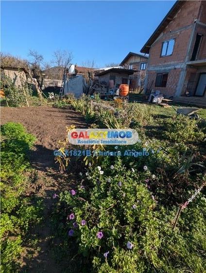 Adunatii Copaceni vila P+1 ,5 camere,suprafata 165 mp, teren 1300 mp - 35