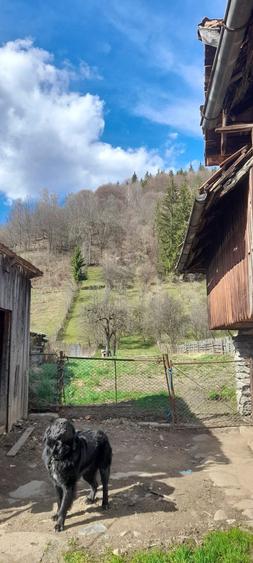 Casa de vanzare!!! - 4