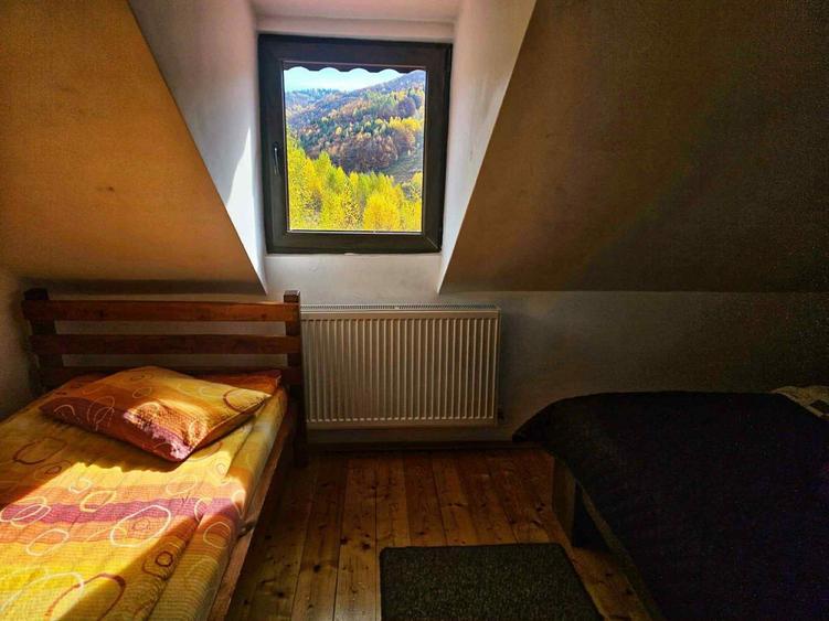 Cabana de inchiriat // - 8