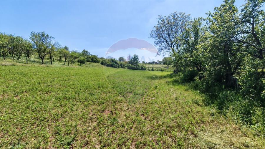 Tere cu constructie de vanzare in Urlati - 9