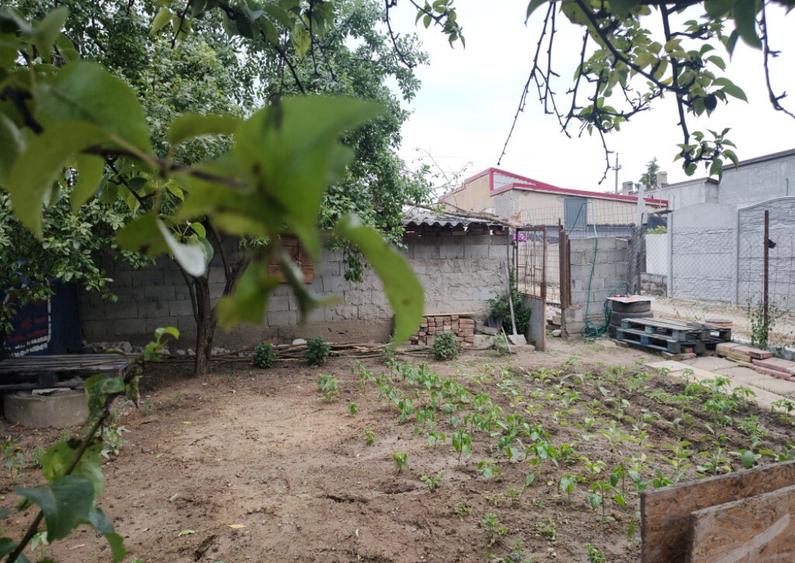 Casa de vanzare in Jilava - 1