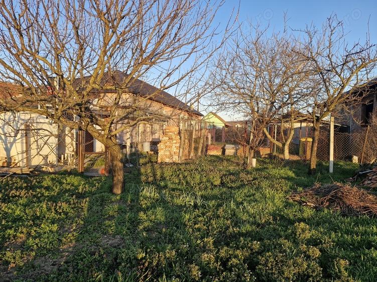 Casa de vanzare in Pancota - 4