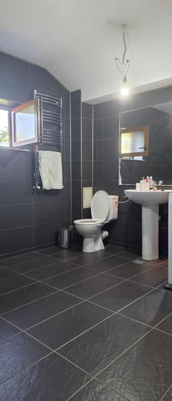 Vila de vanzare cu teren generos zona Ciolpani - 24