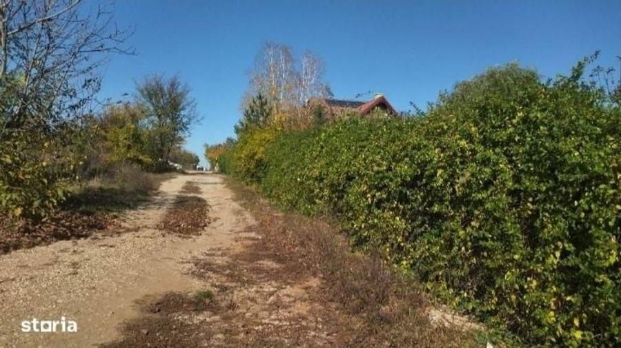 Teren Ciolpani Piscu langa Lac Scrovistea Zona Snagov - 4