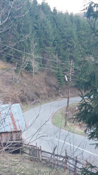 Teren intravilan de vânzare  - 6