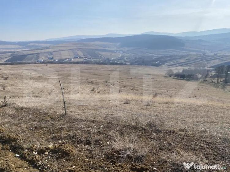 Teren extravilan in suprafata de 140551 mp in loc. Recea - 2