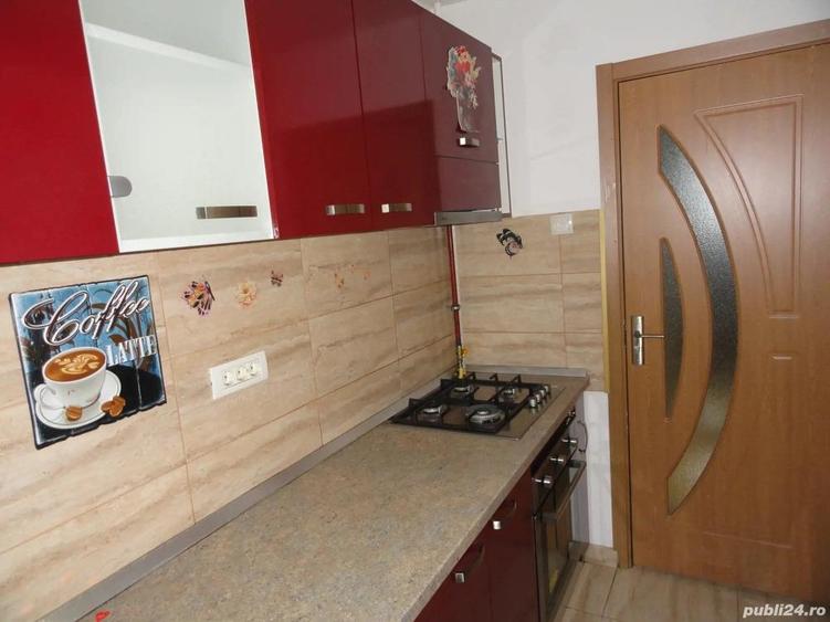 Apartament 1 camera la parter intr-un bloc de apartamente in Vlaicu, renovat, mobilat - 5