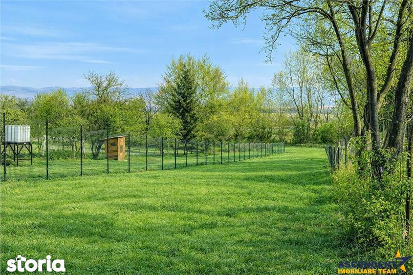 Teren 1.120 mp,Dobolii de Sus:liniste,aer curat si multiple posibilita - 3