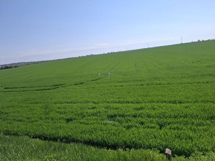 Teren extravilan Agigea - 1