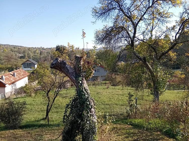 Vand teren superb 1028m2, in com. Valea Lunga jud Dambovi?a - 4